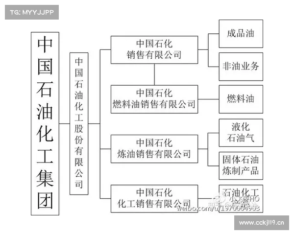 中石化再发力下游终端市场 中石化再发力下游终端市场